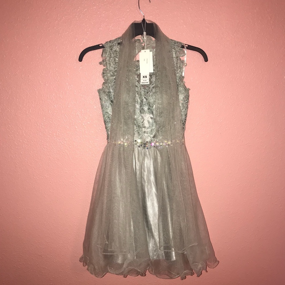 Silver Tulle Dress